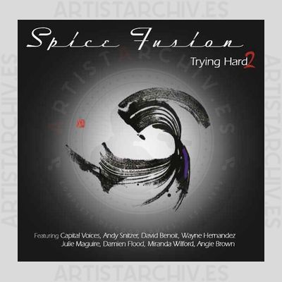 Spice Fusion - Trying Hard 2