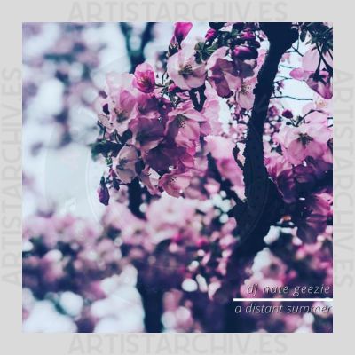 DJ Nate Geezie - A Distant Summer