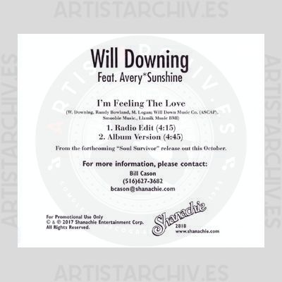 Will Downing - I'm Feeling The Love
