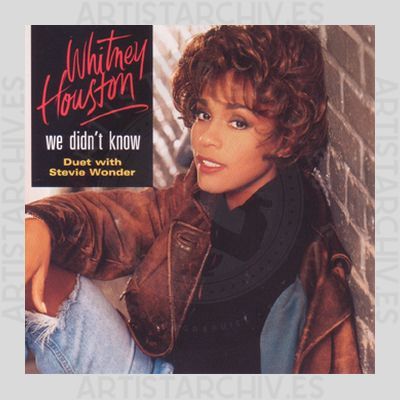 Whitney Houston & Stevie Wonder - We Didn't Know