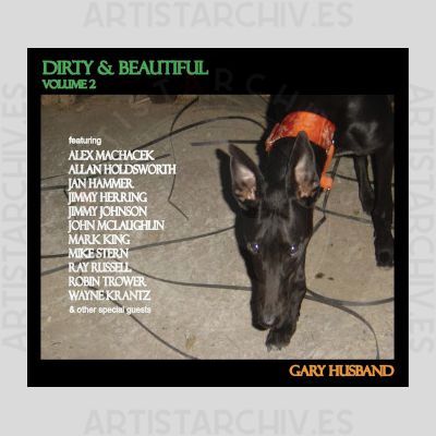 Gary Husband - Dirty & Beautiful, Vol. 2