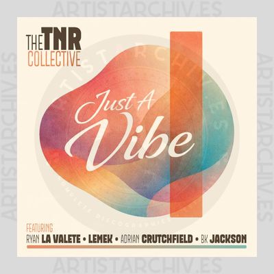 The TNR Collective - Just A Vibe