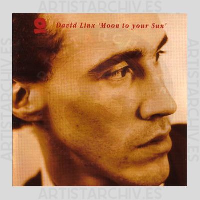 David Linx - Moon To Your Sun