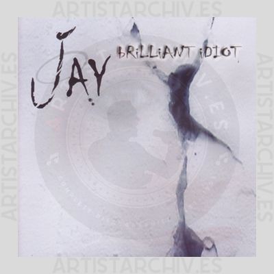 Jay - Brilliant Idiot