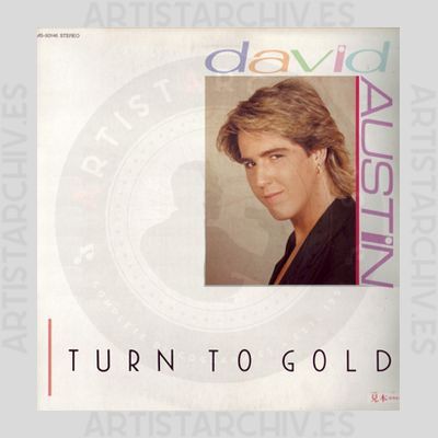 David Austin - Turn To Gold