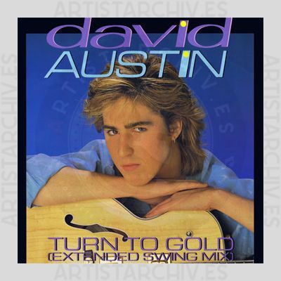 David Austin - Turn To Gold